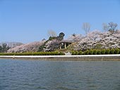 菖蒲園の辺り